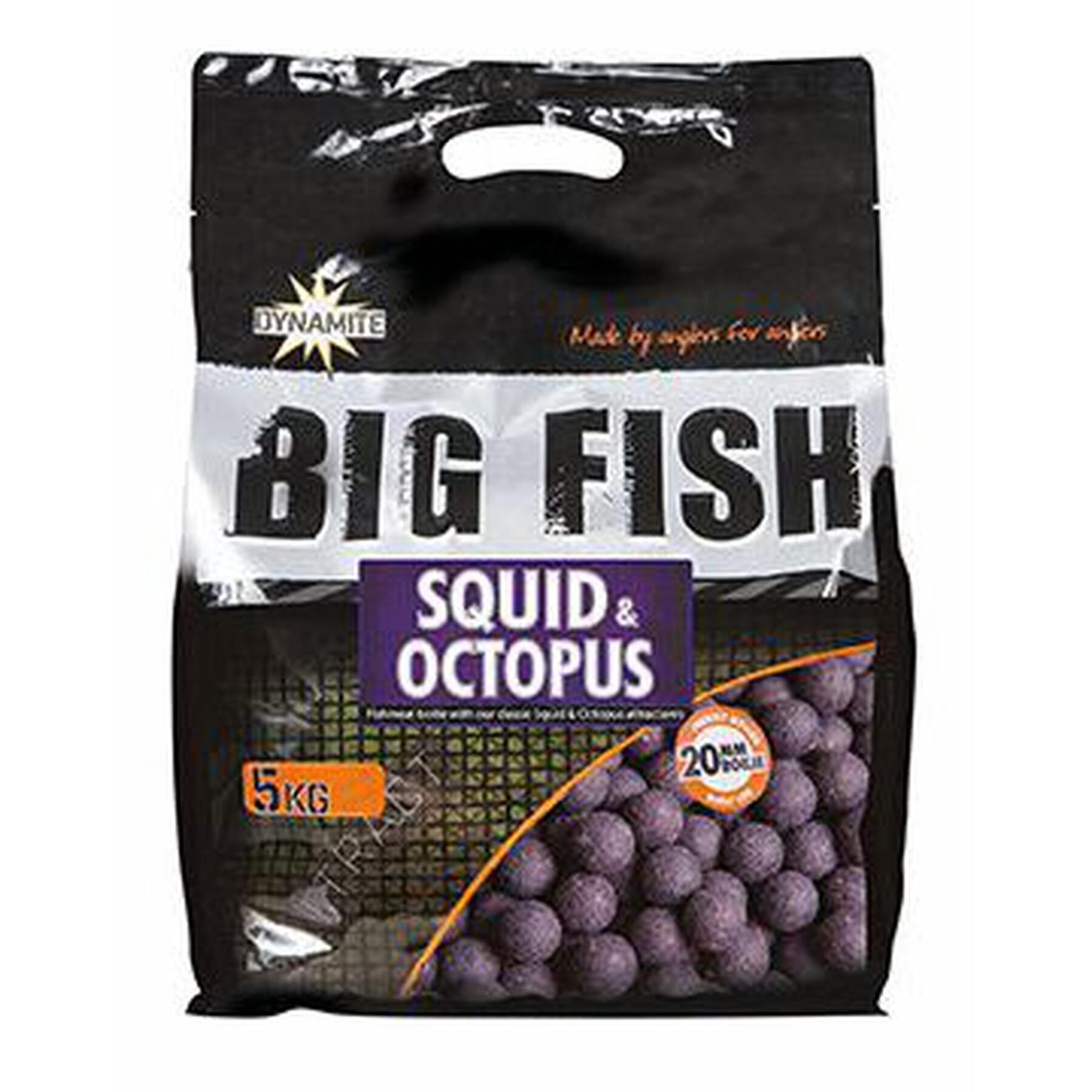Dense boilies Dynamite Baits squid & octopus 20 mm 5 kg