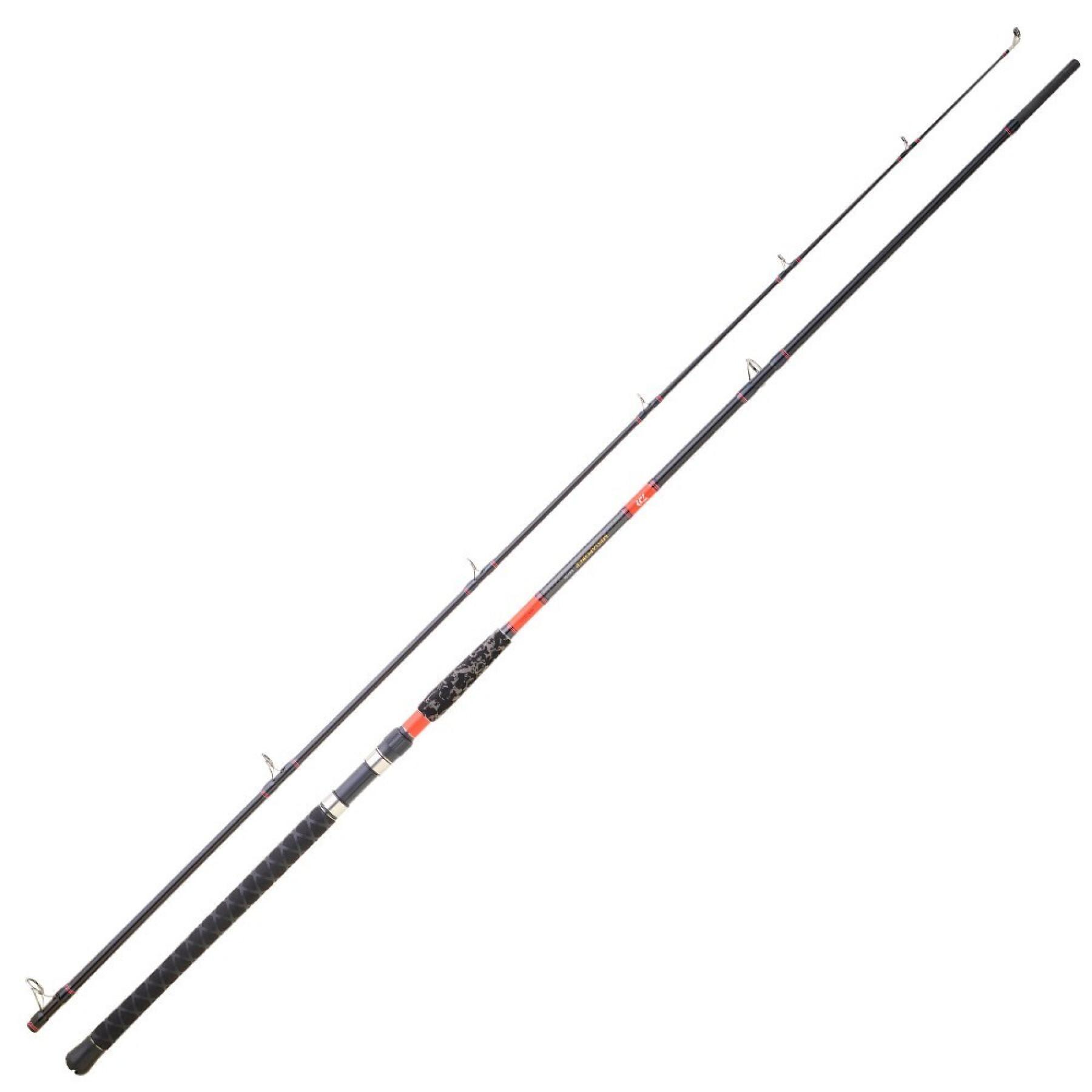 Catfish rod Daiwa Megaforce BF 242 H 80-180g