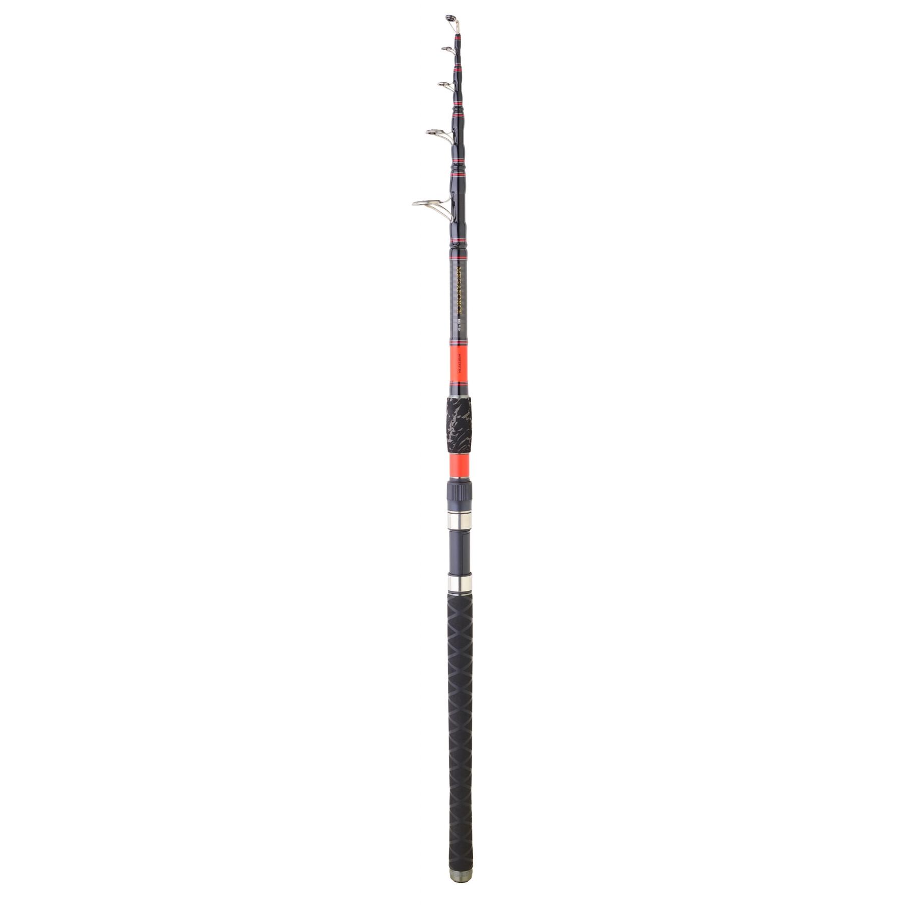 Catfish rod Daiwa Megaforce BF 295 T XH 100-300g