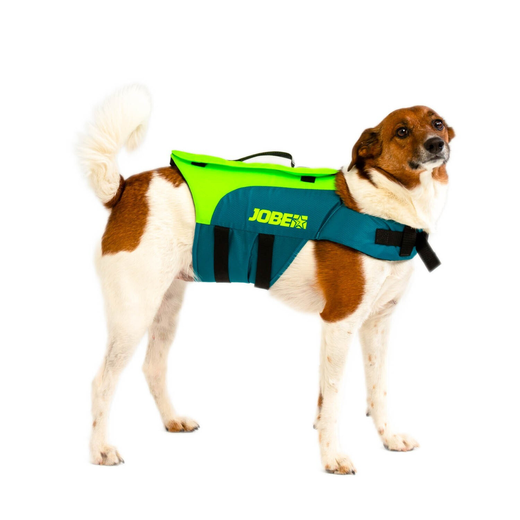 Life jackets for pets Jobe Sports