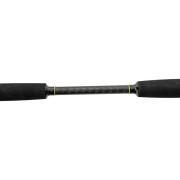 Casting rod Black Cat Solid Vertical 50-200g